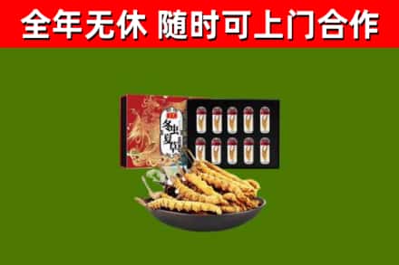红河市烟酒回收冬虫夏草礼盒.jpg
